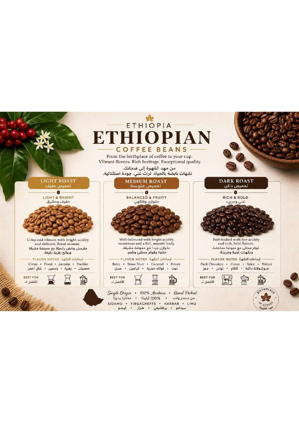 Barakat Ethiopian Coffee Beans product information