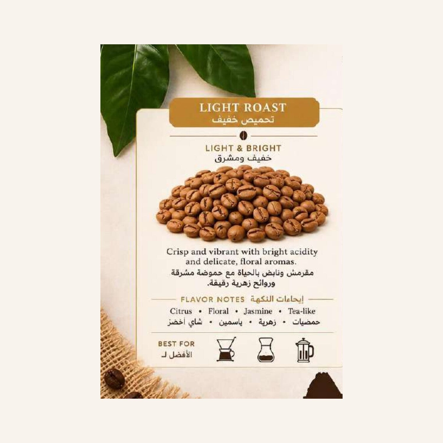Ethiopian Coffee Beans - Light Roast