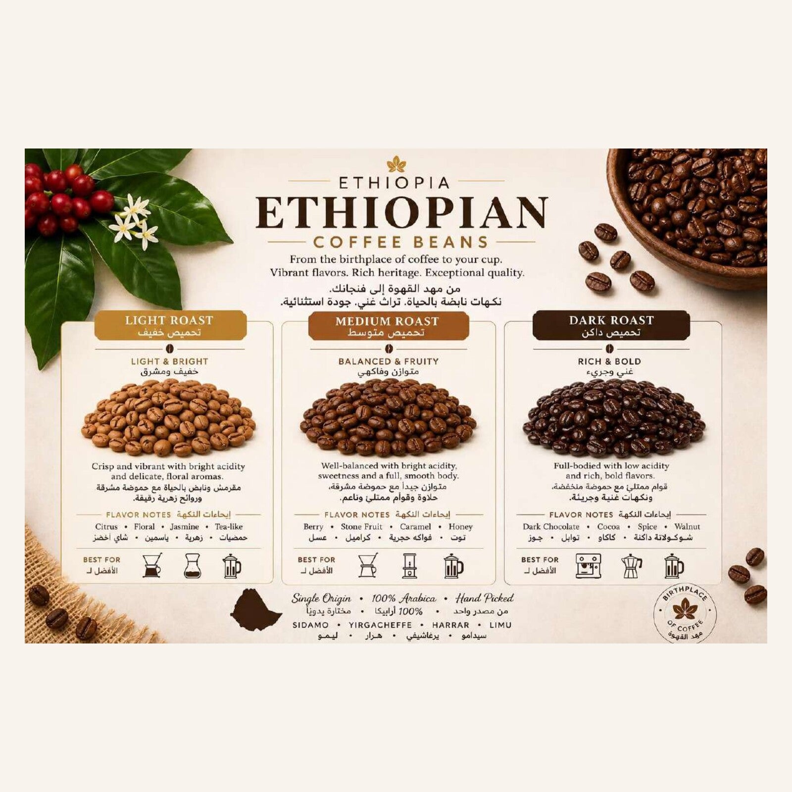 Ethiopian Coffee Beans product image