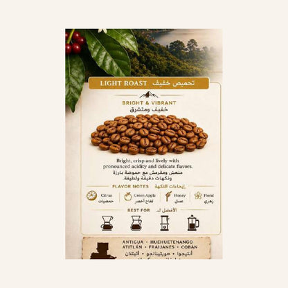 Guatemala Coffee Beans - Light Roast