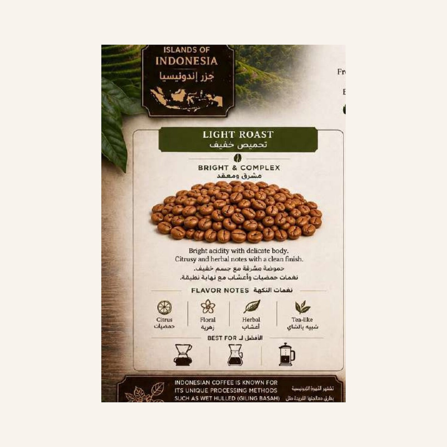 Indonesia Coffee Beans - Light Roast